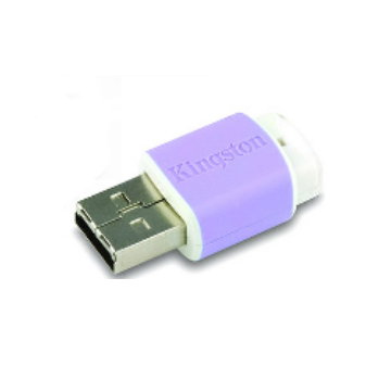 hy DataTarveler Mini Migo USB 2GB ʺ