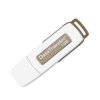 hy DataTarveler USB 1GB ʺ